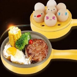 Multi-function Mini Electric Frying Pan and Automatic Egg Boiler