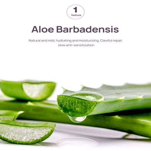 LANBENA Aloe Deep Cleansing Nose Strips - Clear Skin Magic
